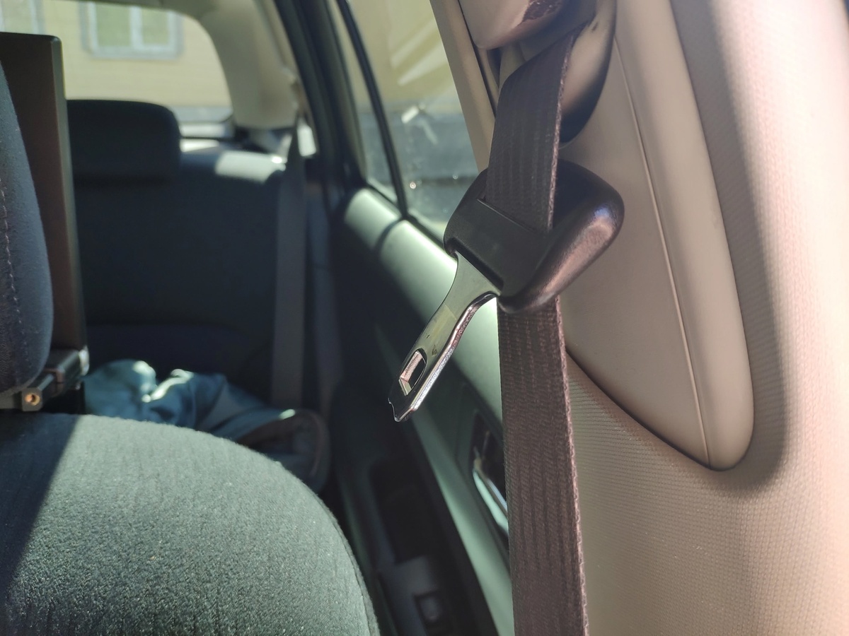    фото: © Столица на Онего