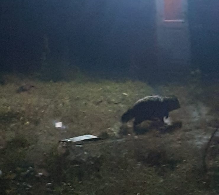 Фотография автора