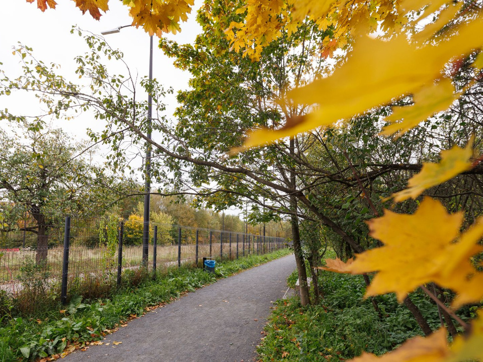    Фото: медиасток.рф