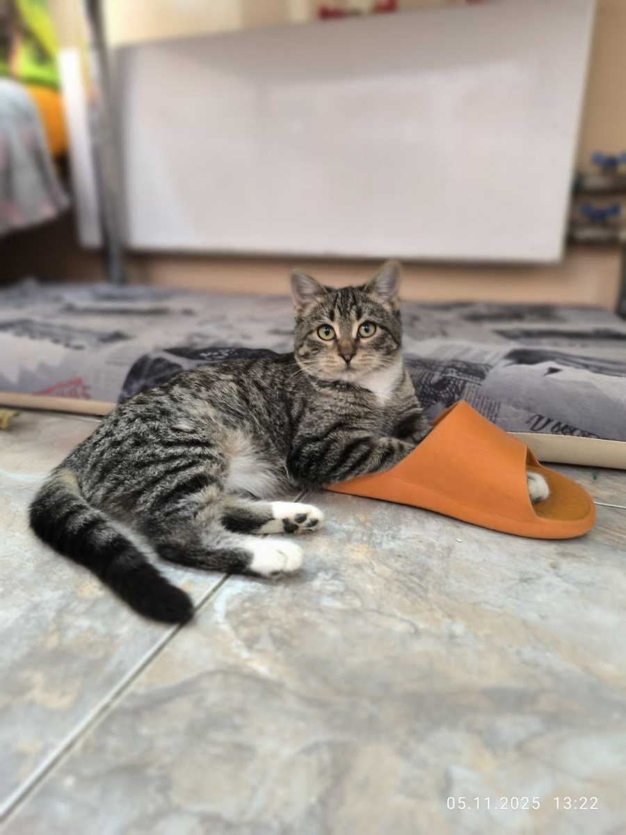 Ой, а куда б вы делись?