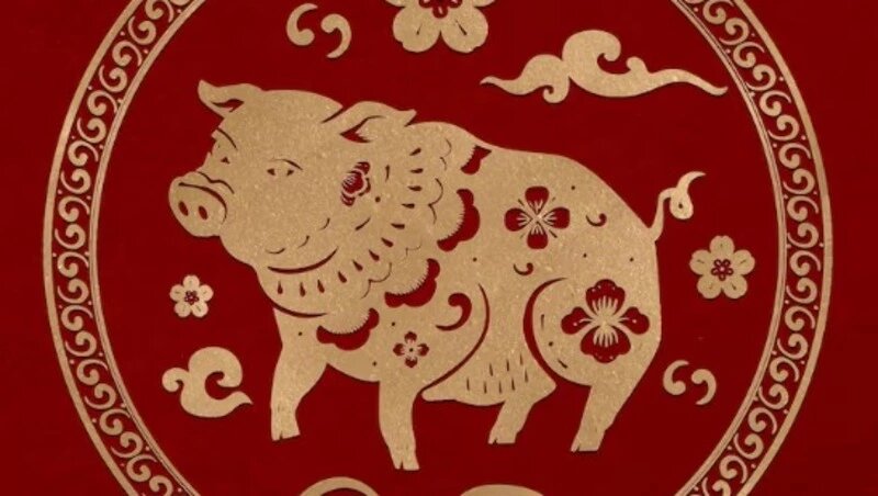      Фото: @rawpixel-com / ru.freepik.com