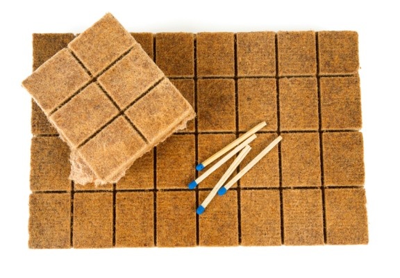 Источник фото shutterstock.com