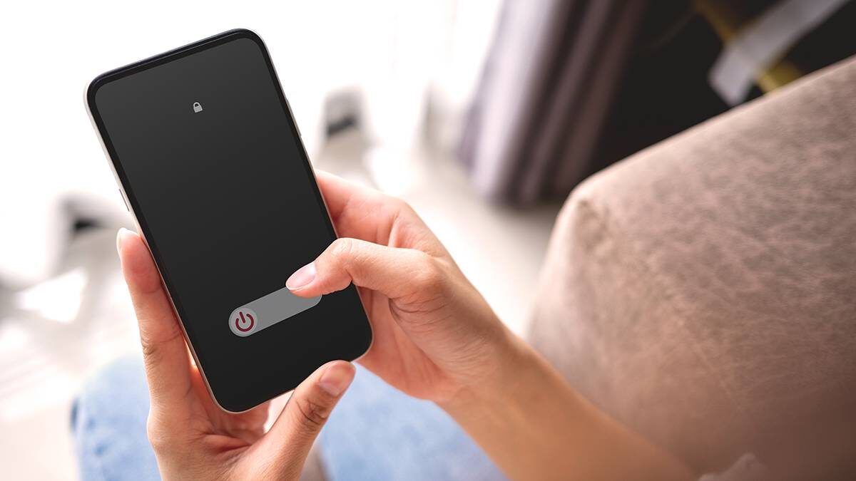    Фото: Shutterstock