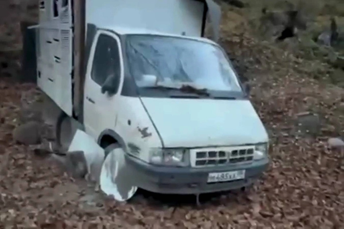    Фото: Telegram-канал Магомедшапи Шапиев, источник: t.me/M_shapiev