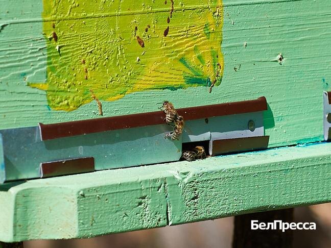 Фото: Елена Журавлёва