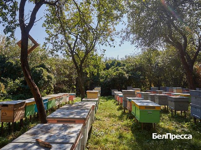 Фото: Елена Журавлёва