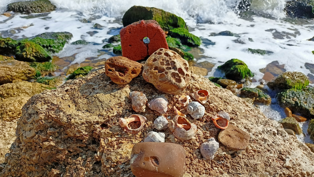 Примечательно, что в Героевке очень много камней с дырочкой, так называемый камень-"куриный бог"!) Фото автора. 30 сентября 2023 года.