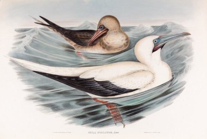    Фото: Дарвиновский музей