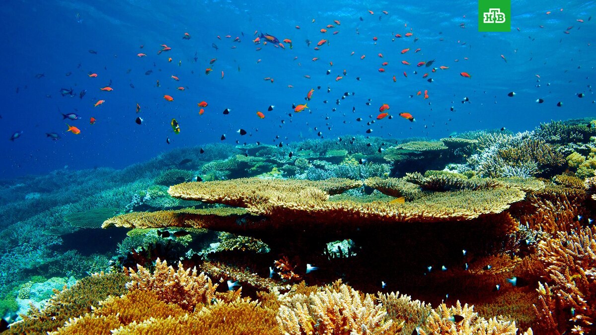    Фото: РИА Новости © 2025, Антон Денисов