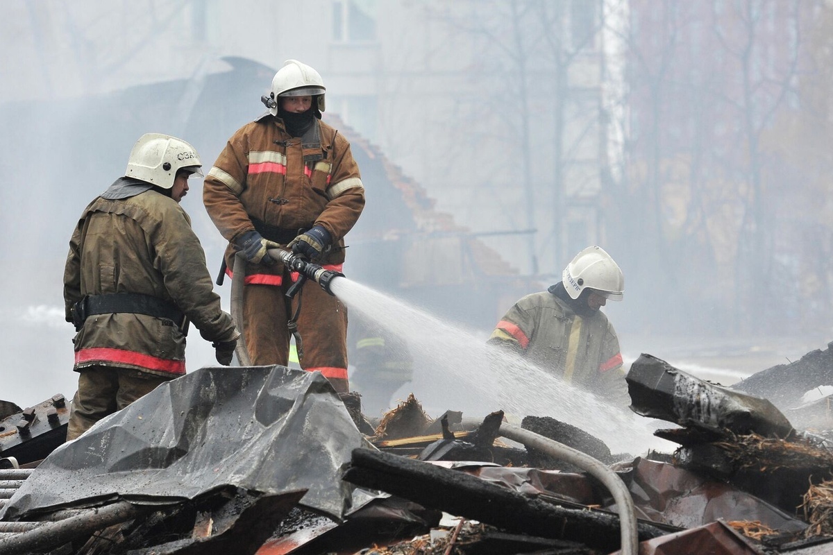    Фото: Рамиль Ситдиков, источник: ria.ru