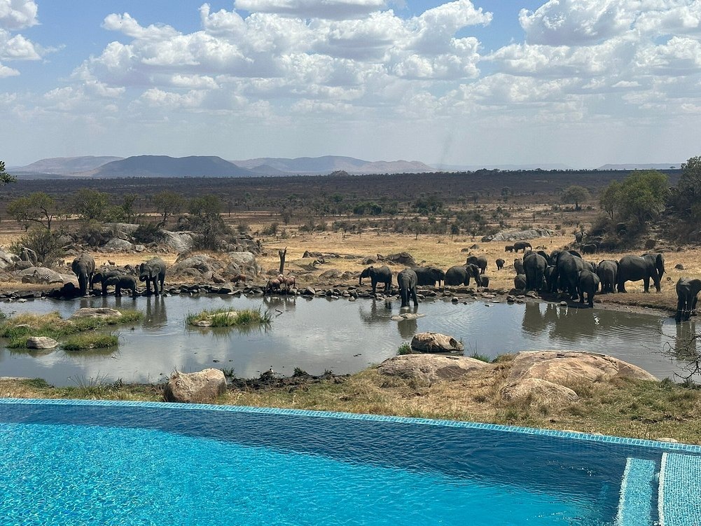 Infinity-бассейн с видом на водопой в отеле Four Seasons