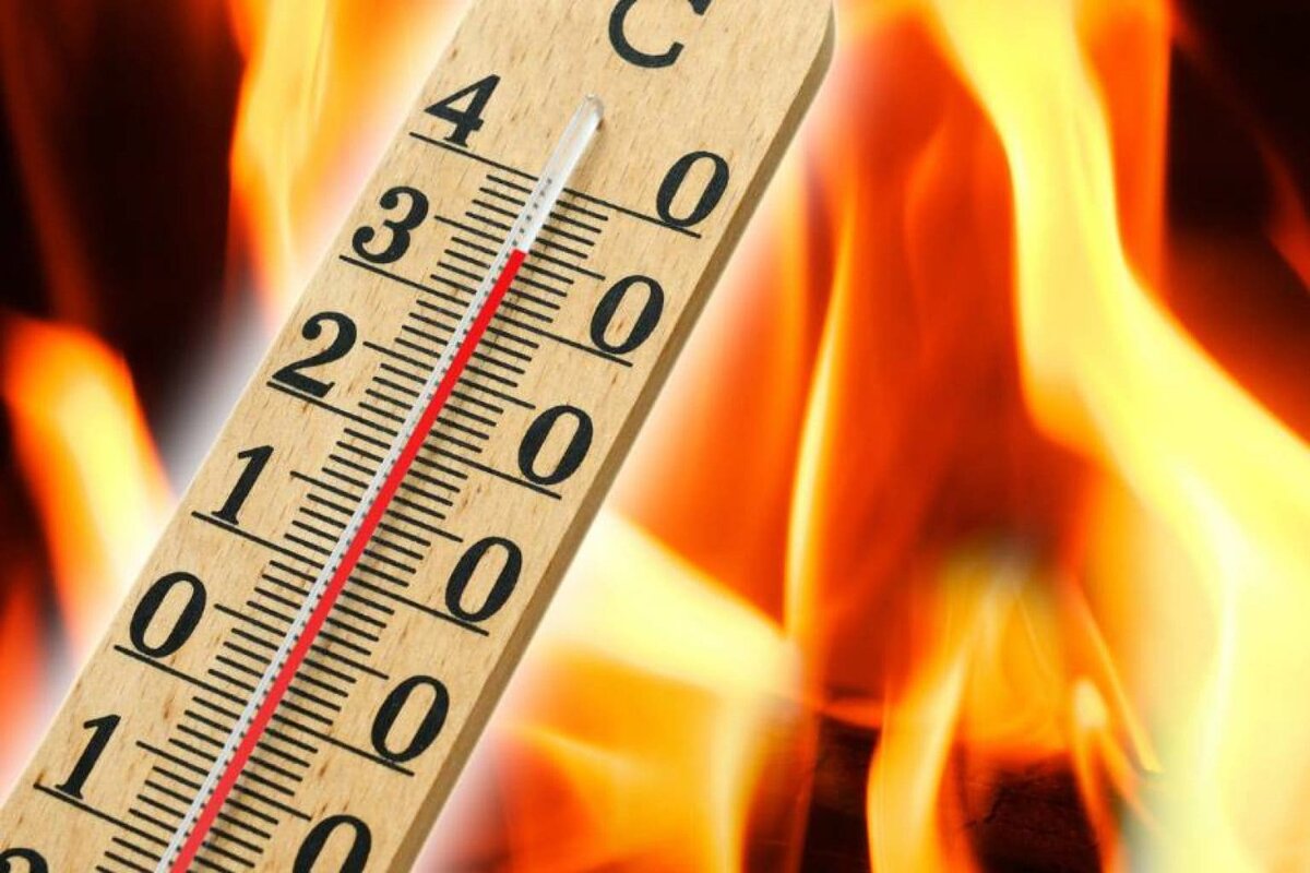 5 признаков, что организм «перешёл в режим защиты» (чек-лист)