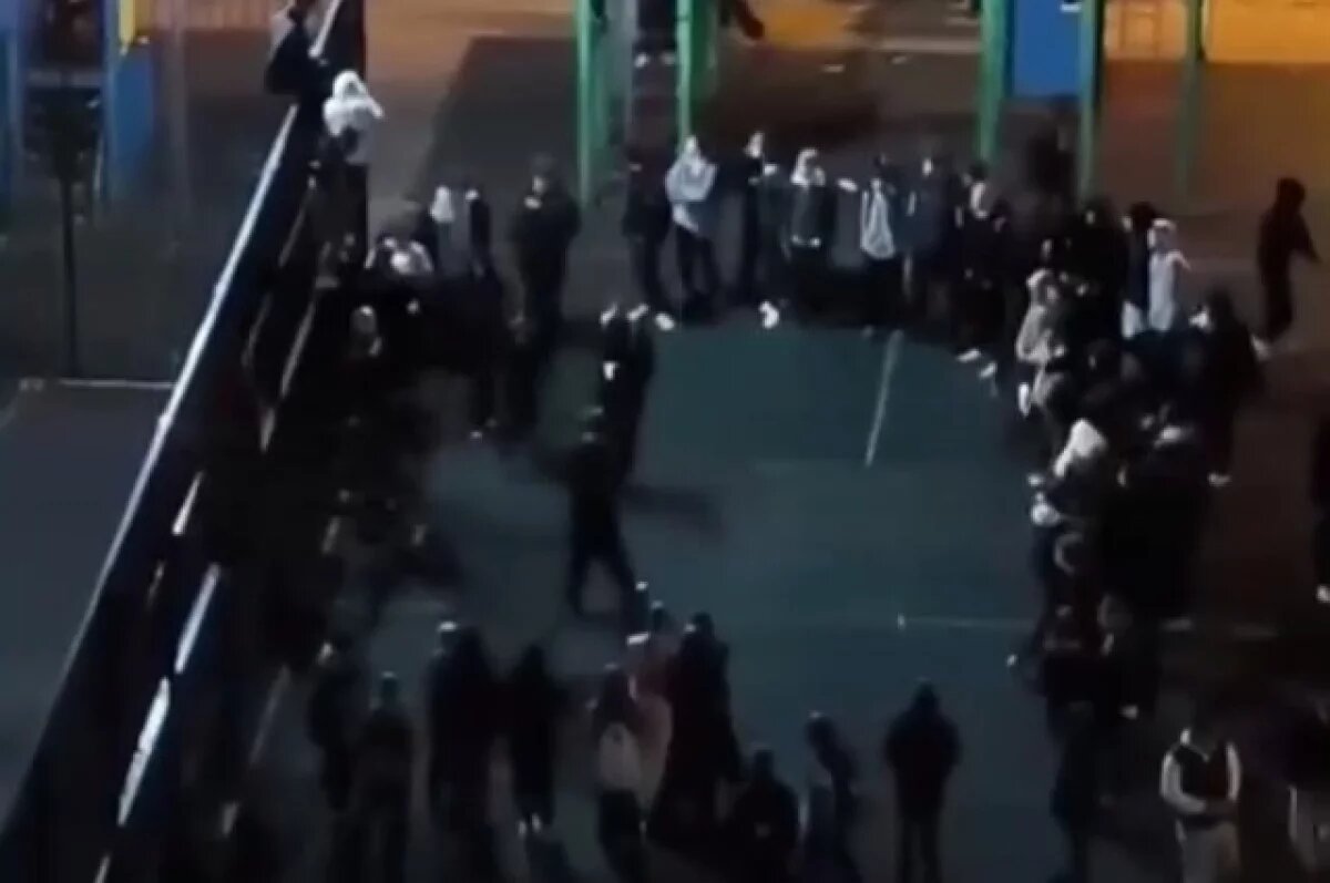    В Краснодаре подростки устраивают жестокие бойни на детских площадках