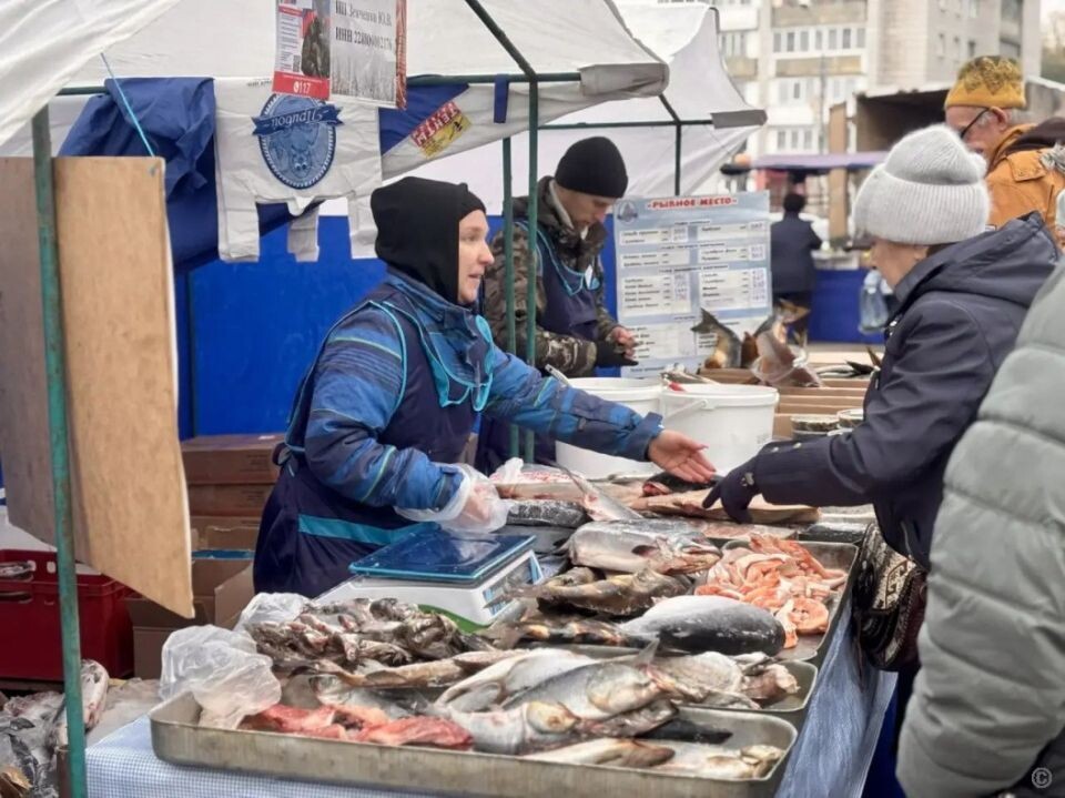    Ярмарка в Барнауле. Источник: barnaul.org