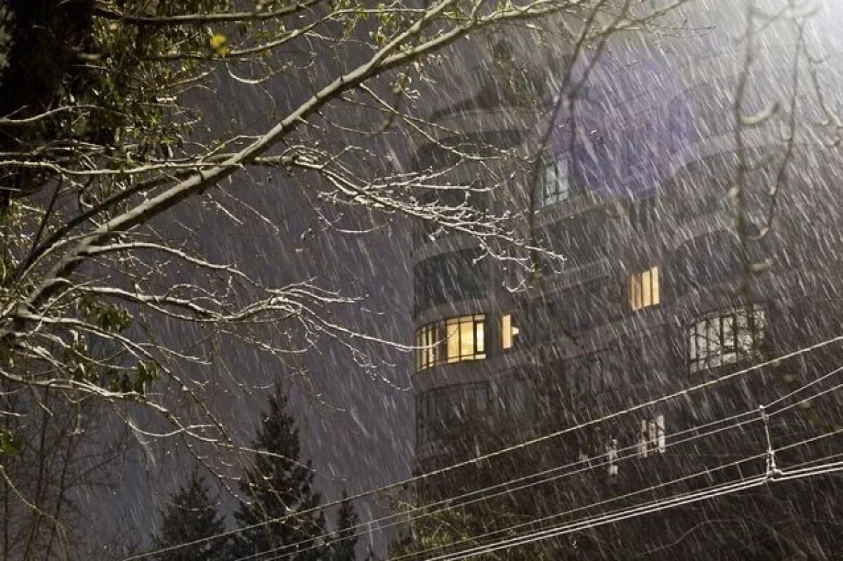    Продуктовые ярмарки отменили в Барнауле 8 ноября из-за непогоды