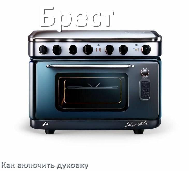 
Как включить духовку плиты Брест электрической и индукционной