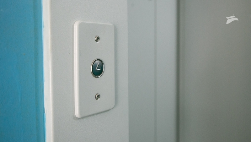      Фото: Валерия Алтухова / / ИА «Победа26»