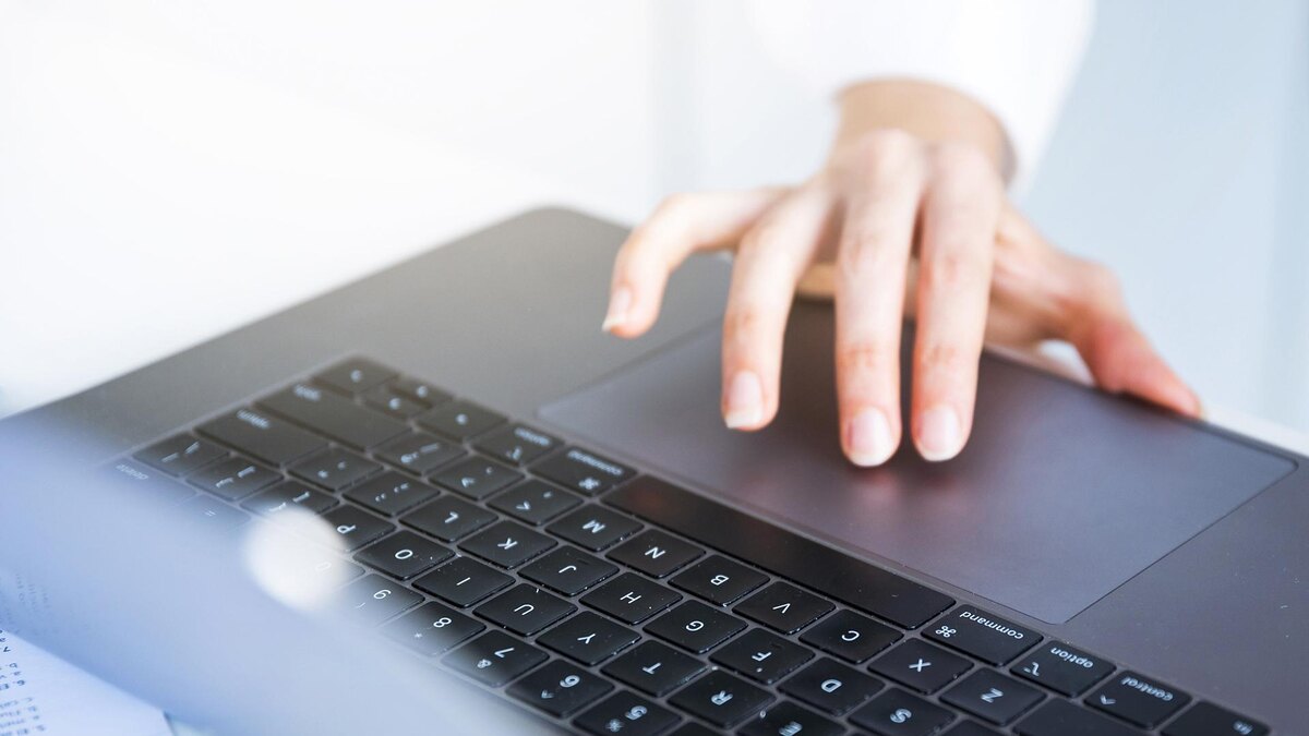    Фото: freepik.com