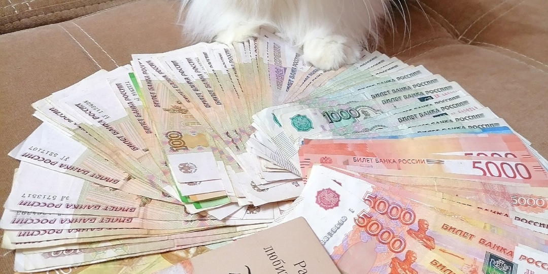 Отчёт с концерта в Котласе