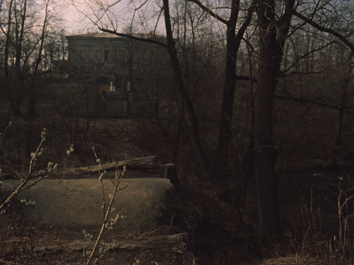 Именно к такому состоянию когда-нибудь придет имение Войницкой. 