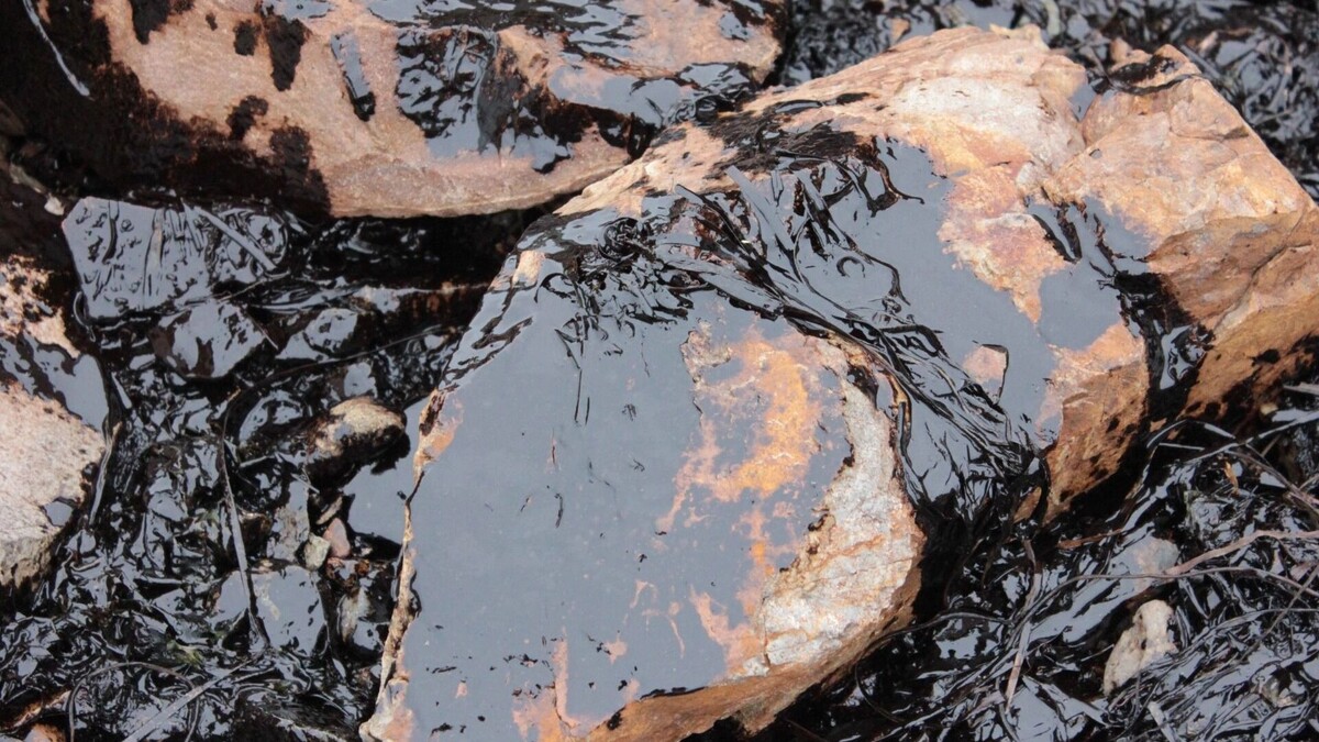     Источник: inkazan.ru