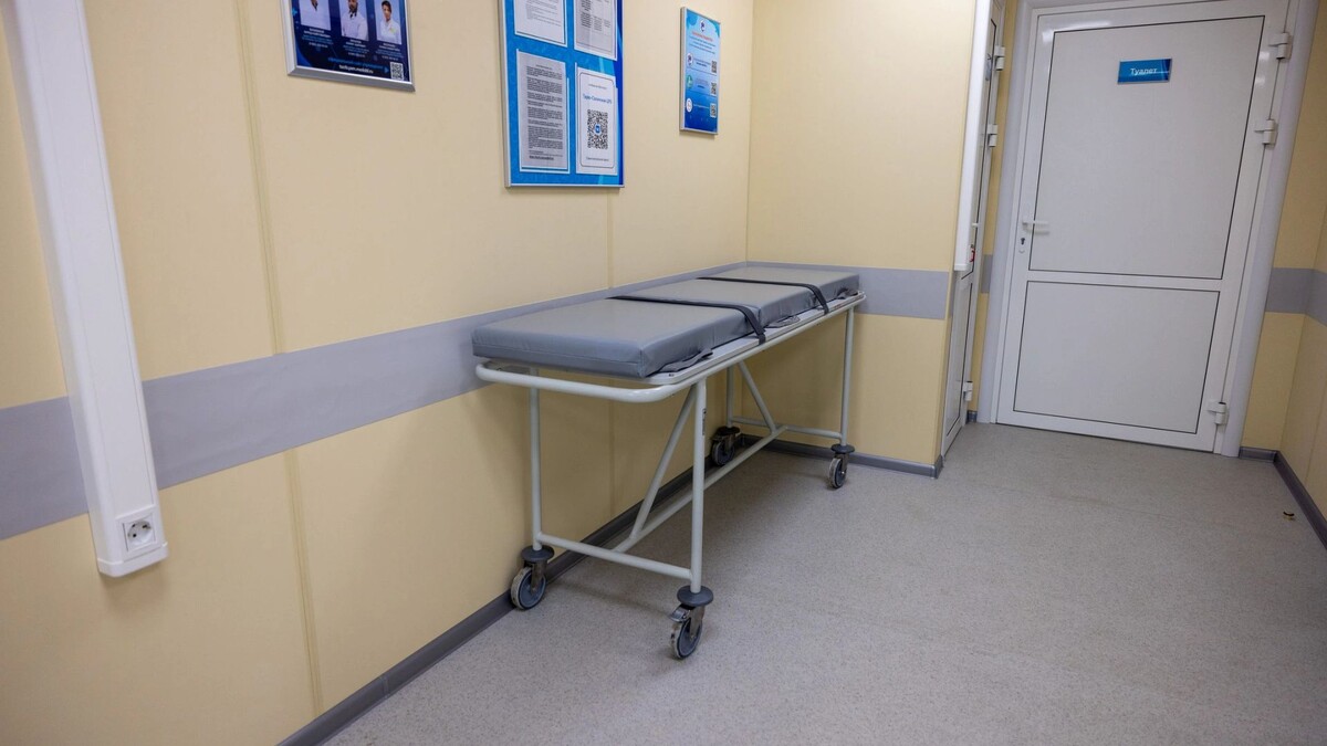    Фото: Юлия Чудинова / «Ямал-Медиа»