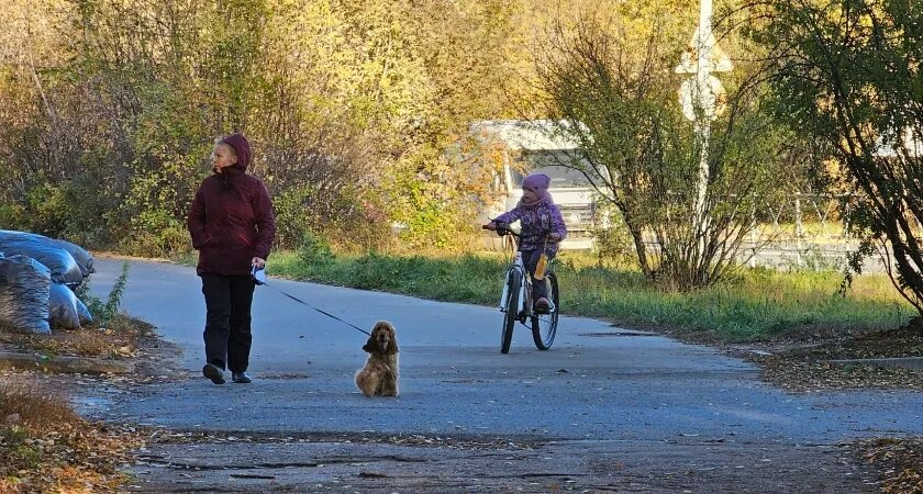    2 миллиона рублей выделено на ремонт въездного знака "Радужный" в Кирове