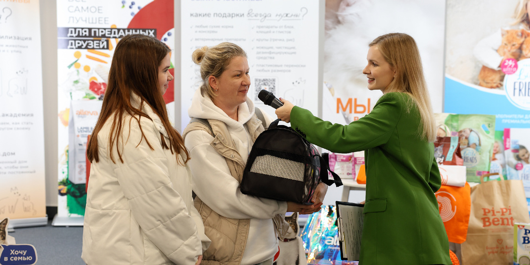 Итоги благотворительного фестиваля «Тыквы и Коты»