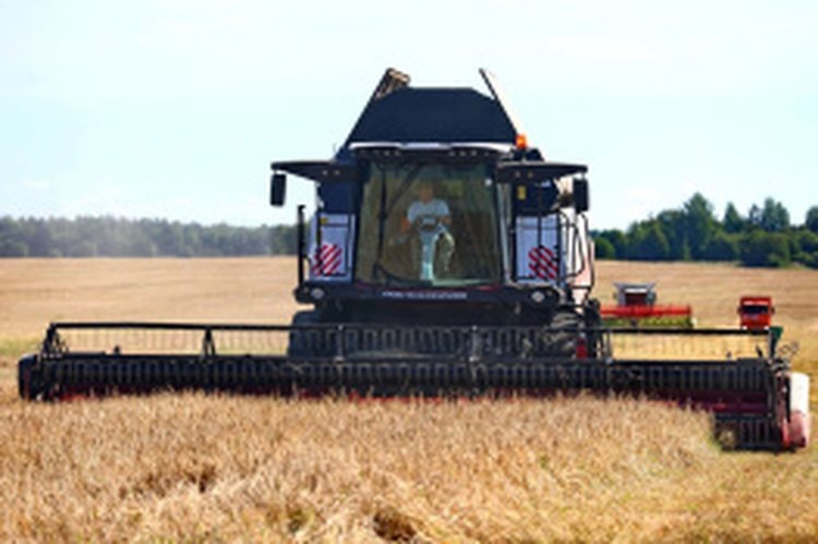    Фото: Правительство Вологодской области