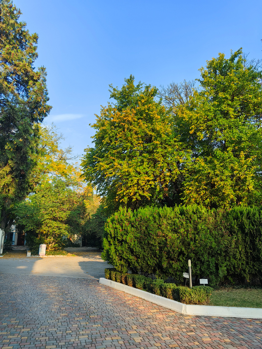 Сегодня. Фото автора канала