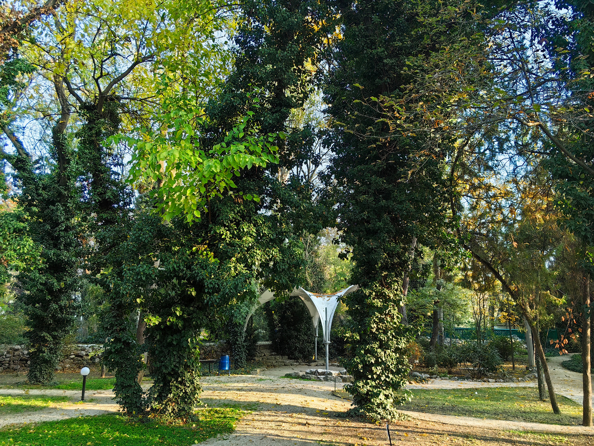 Сегодня. Фото автора канала