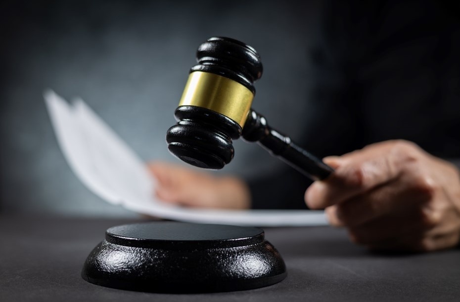 Автор фото: Skrypnykov Dmytro/Shutterstock/FOTODOM