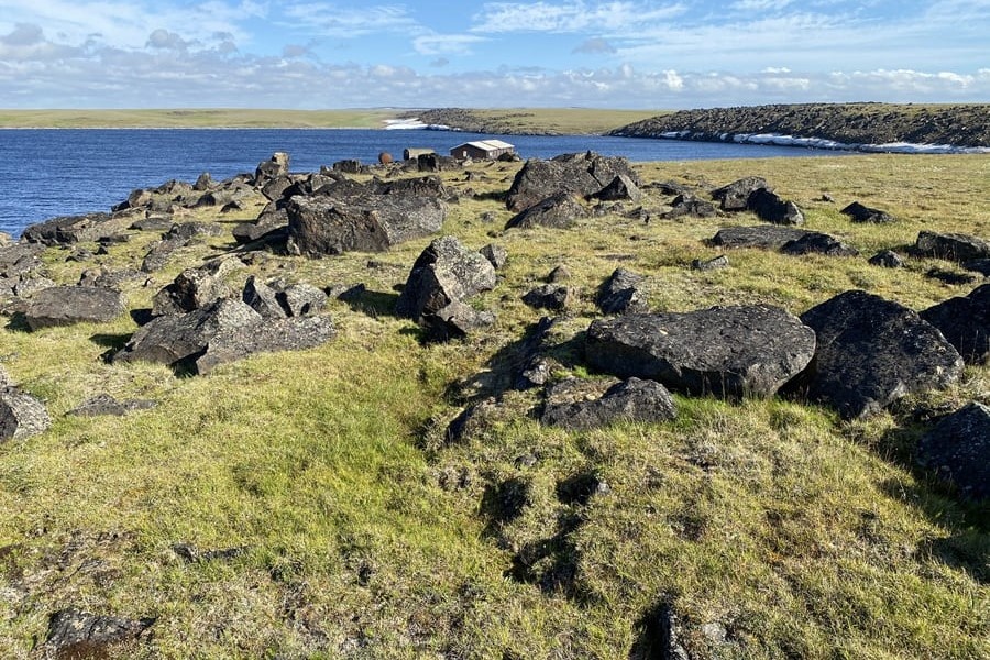 Северные экосистемы
