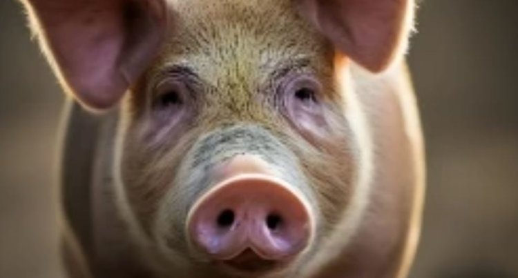    Фото: Медведева Анна, AgroXXI.ru