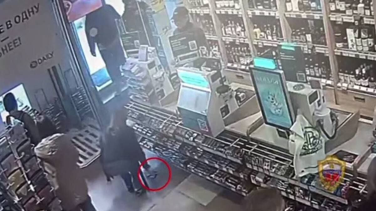    Фото: скриншот / пресс-служба ГУ МВД России по городу Москве