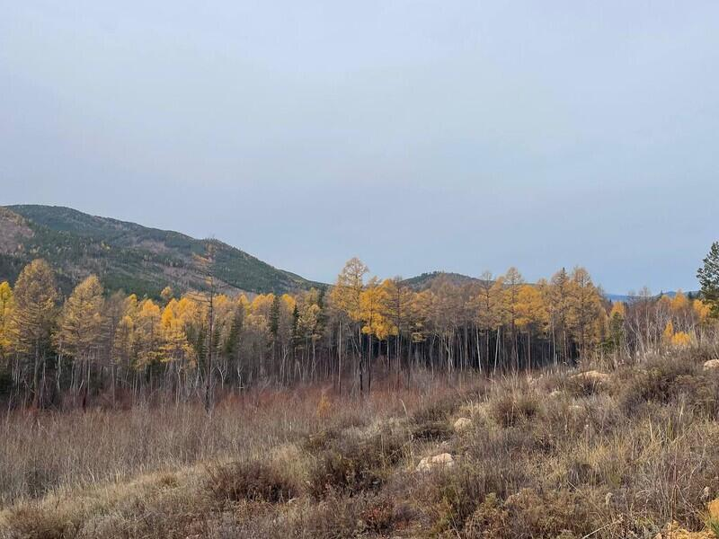© Фото: пресс-служба Фонда «Озеро Байкал»