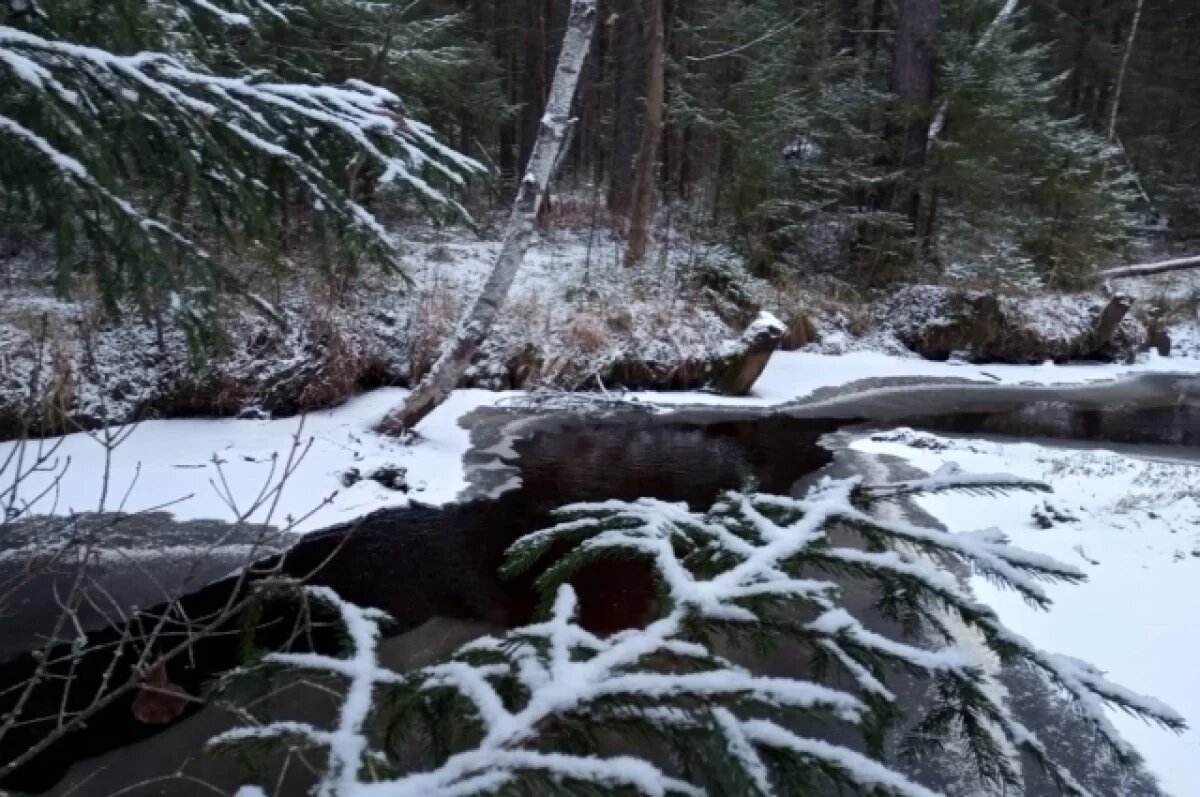    Дожди, снег и ветер ожидаются в выходные в Свердловской области