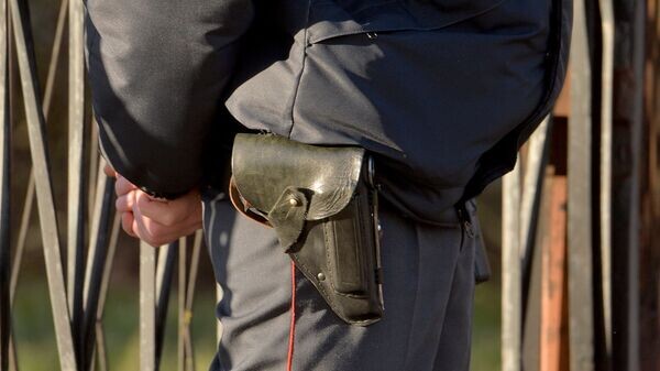    © Sputnik / Виктор Толочко