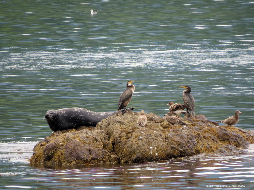 Местное общежитие
