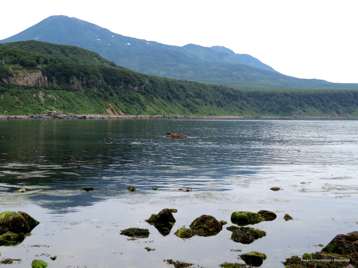 Бухта Лососевая. На заднем плане вулкан Богдан Хмельницкий. А кто на дальнем камушке сидит увидите на следующем фото (листайте).