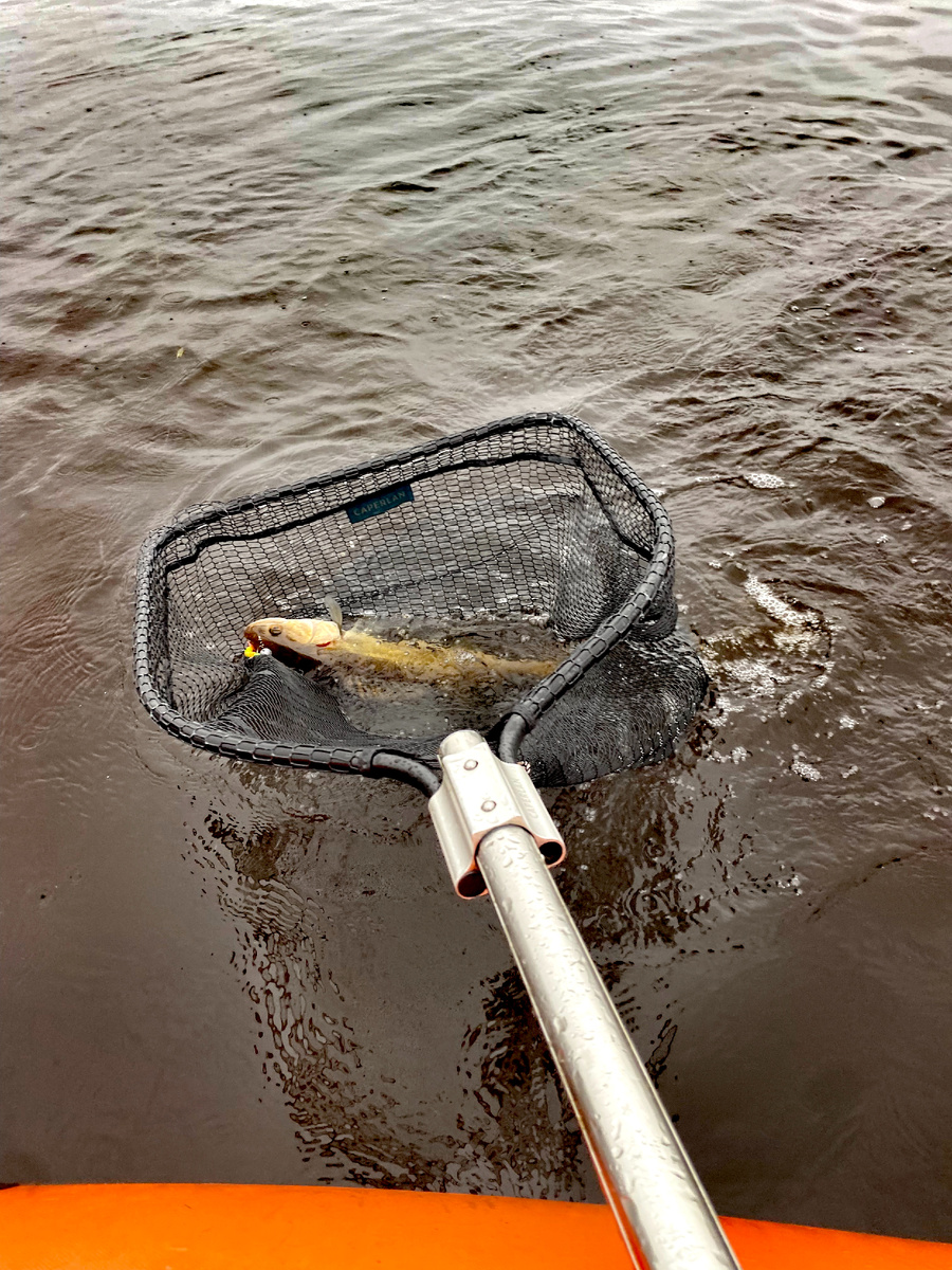 Первый пошёл!