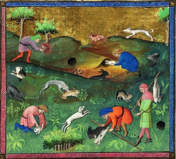 Проклятые кролики.