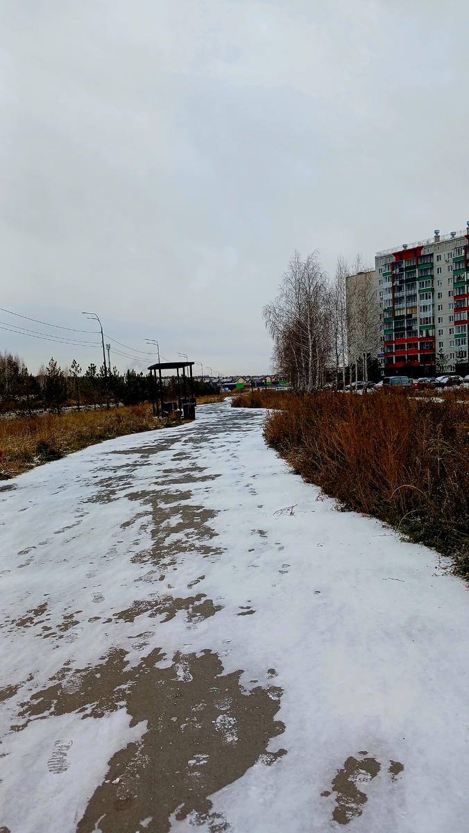 "Доброе утро, мир! Ты прекрасен!" Фото автора