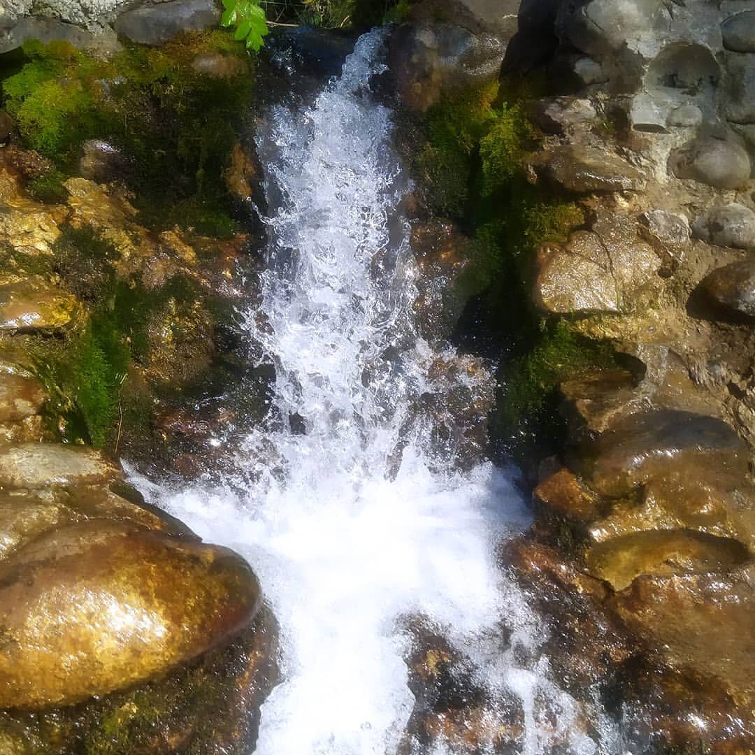Священный источник Аржан-Суу, Майминский район, республика Алтай