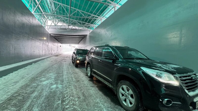     В тоннеле. Дмитрий Лямзин