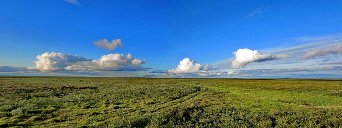    Тундра без границ и ориентиров stalker