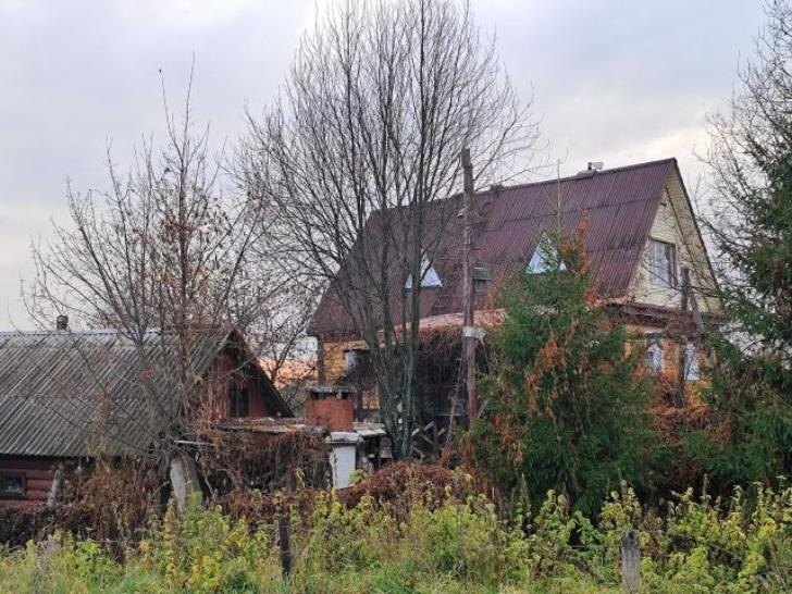    Фото: Пруфы