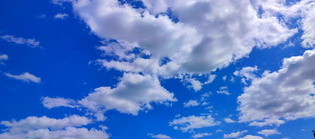 Добрый человек не всегда бывает счастлив, но счастливый человек всегда добр» (Оскар Уайльд)