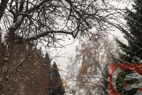    Фото: Прецедент ТВ