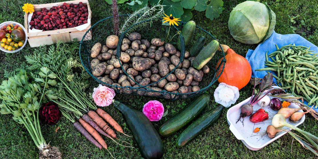 Они нам завидуют: какие простые русские радости недоступны даже самым богатым европейцам